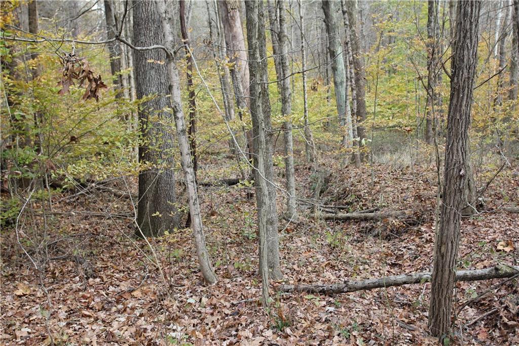 0 Bean Blossom Road Trafalgar, IN 46181 - Photo 29 of 30 Gallery Image 29