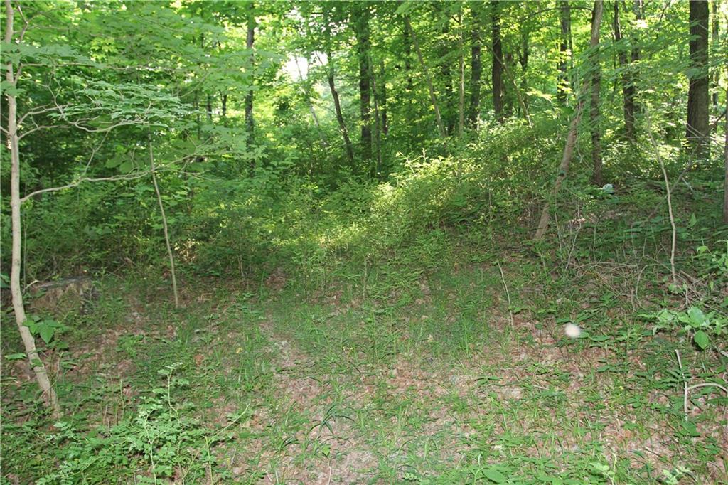 0 Bean Blossom Road Trafalgar, IN 46181 - Photo 6 of 30 Gallery Image 6
