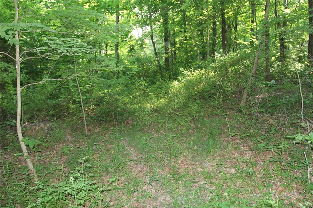 0 Bean Blossom Road Trafalgar, IN 46181 - Photo 7 of 30 Gallery Image 7