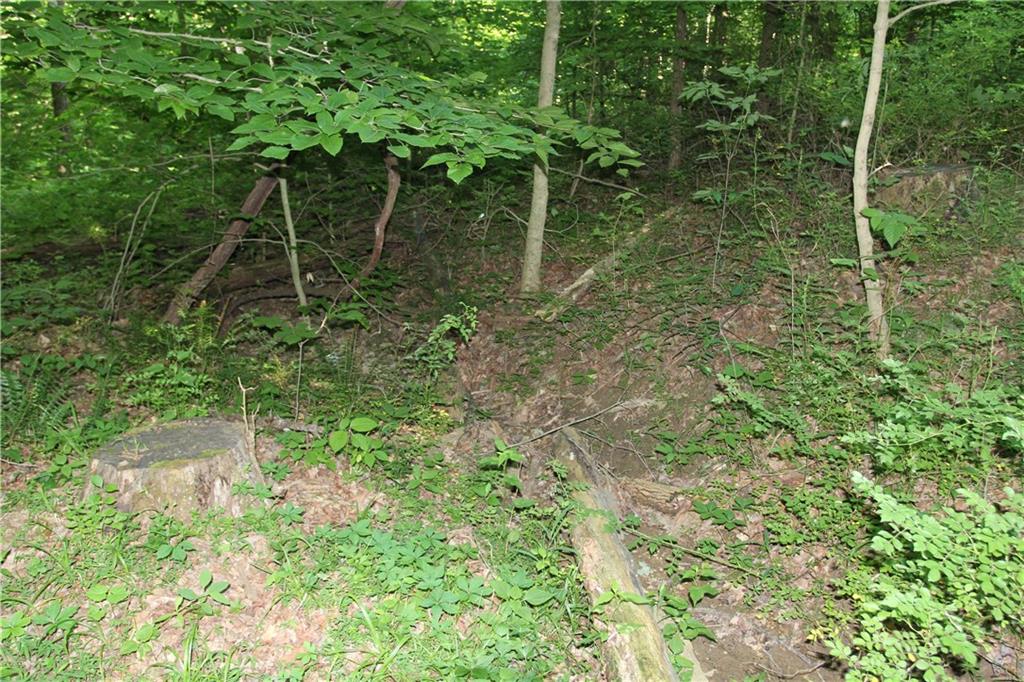 0 Bean Blossom Road Trafalgar, IN 46181 - Photo 8 of 30 Gallery Image 8