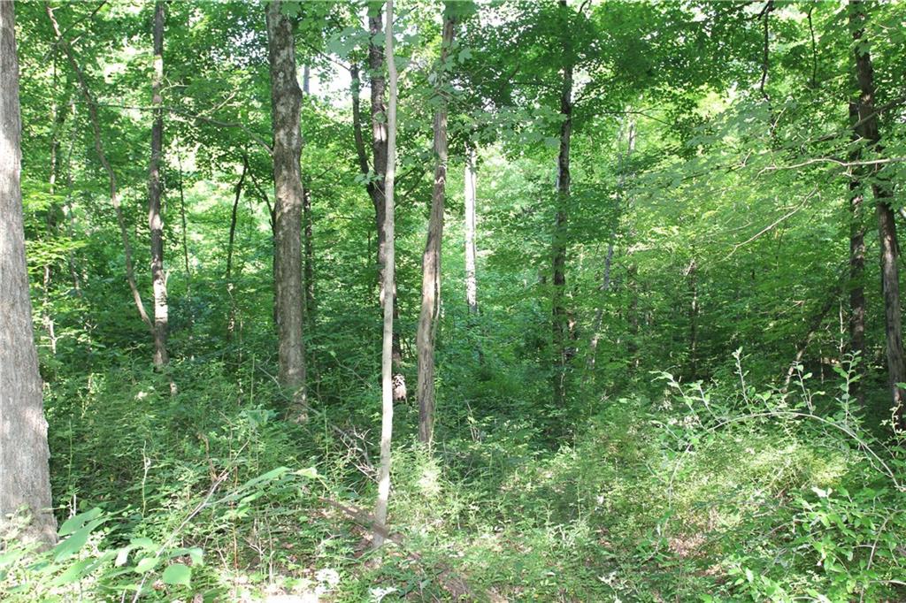 0 Bean Blossom Road Trafalgar, IN 46181 - Photo 9 of 30 Gallery Image 9