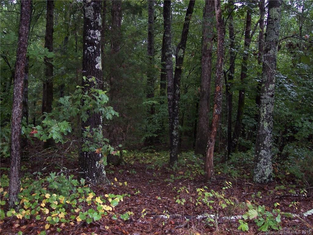 2 Simpson Road Waxhaw, NC 28173 - Photo 2 of 2 Gallery Image 2