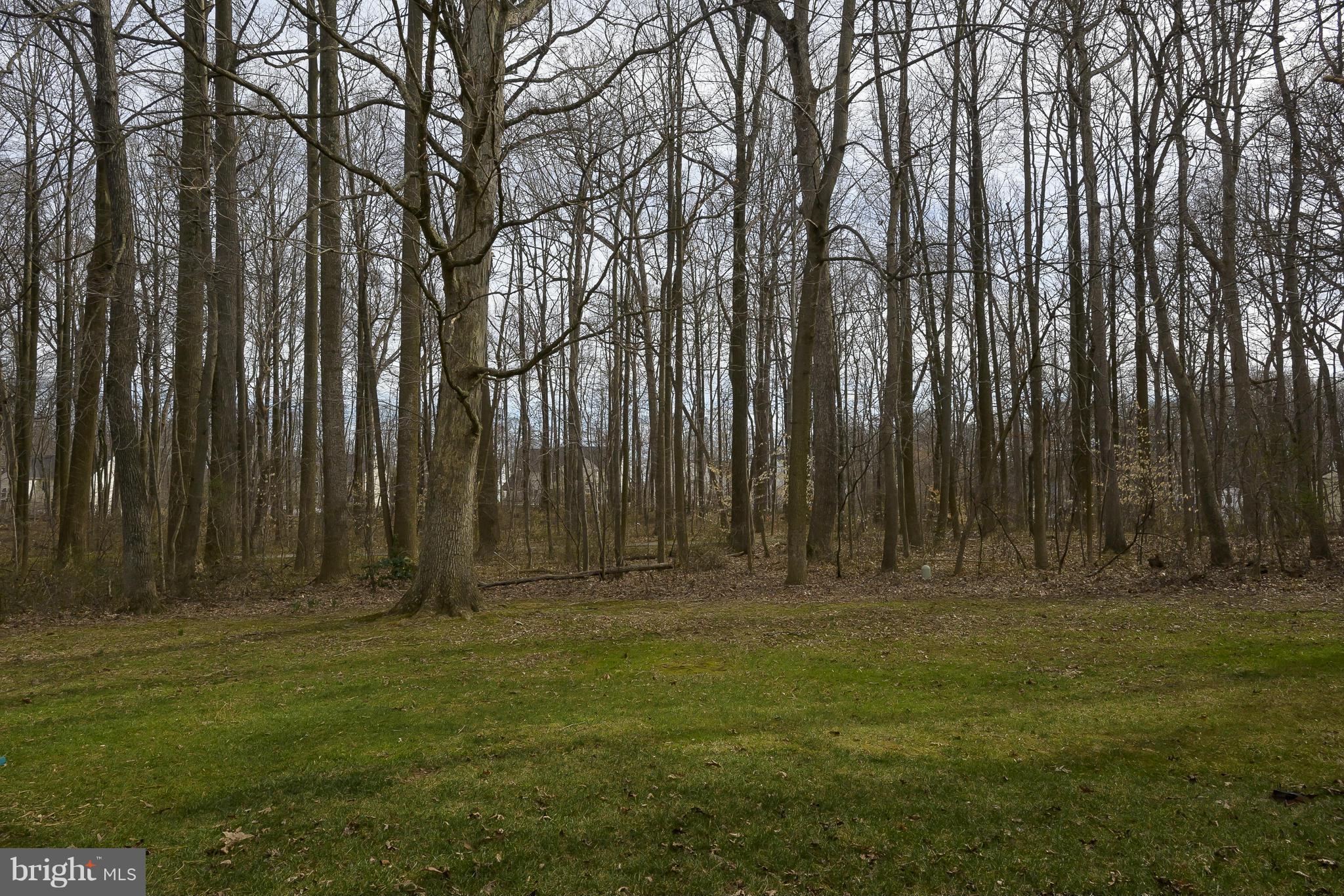 10522 East Wind Way Columbia, MD 21044 - Photo 23 of 26 View