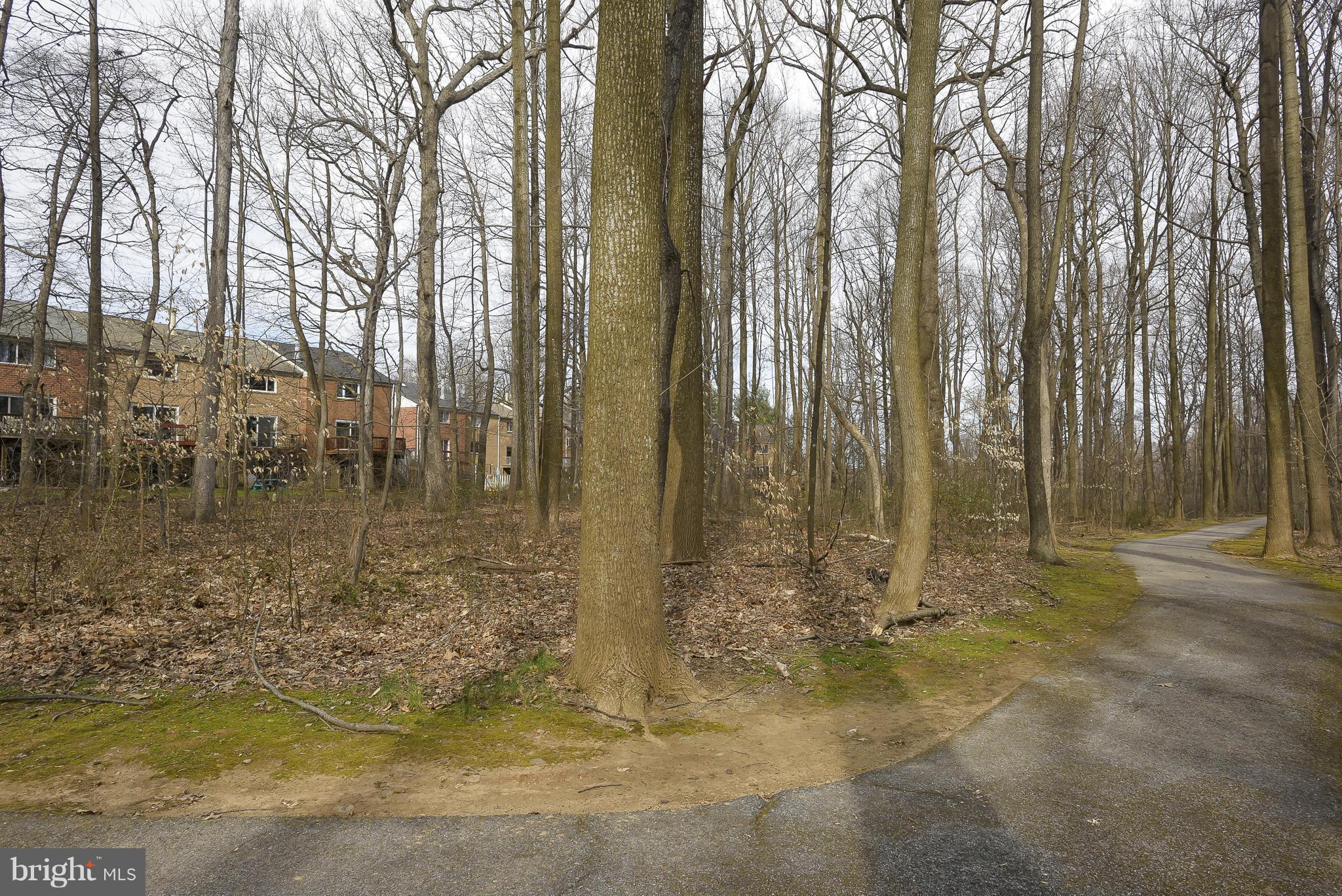 10522 East Wind Way Columbia, MD 21044 - Photo 25 of 26 View