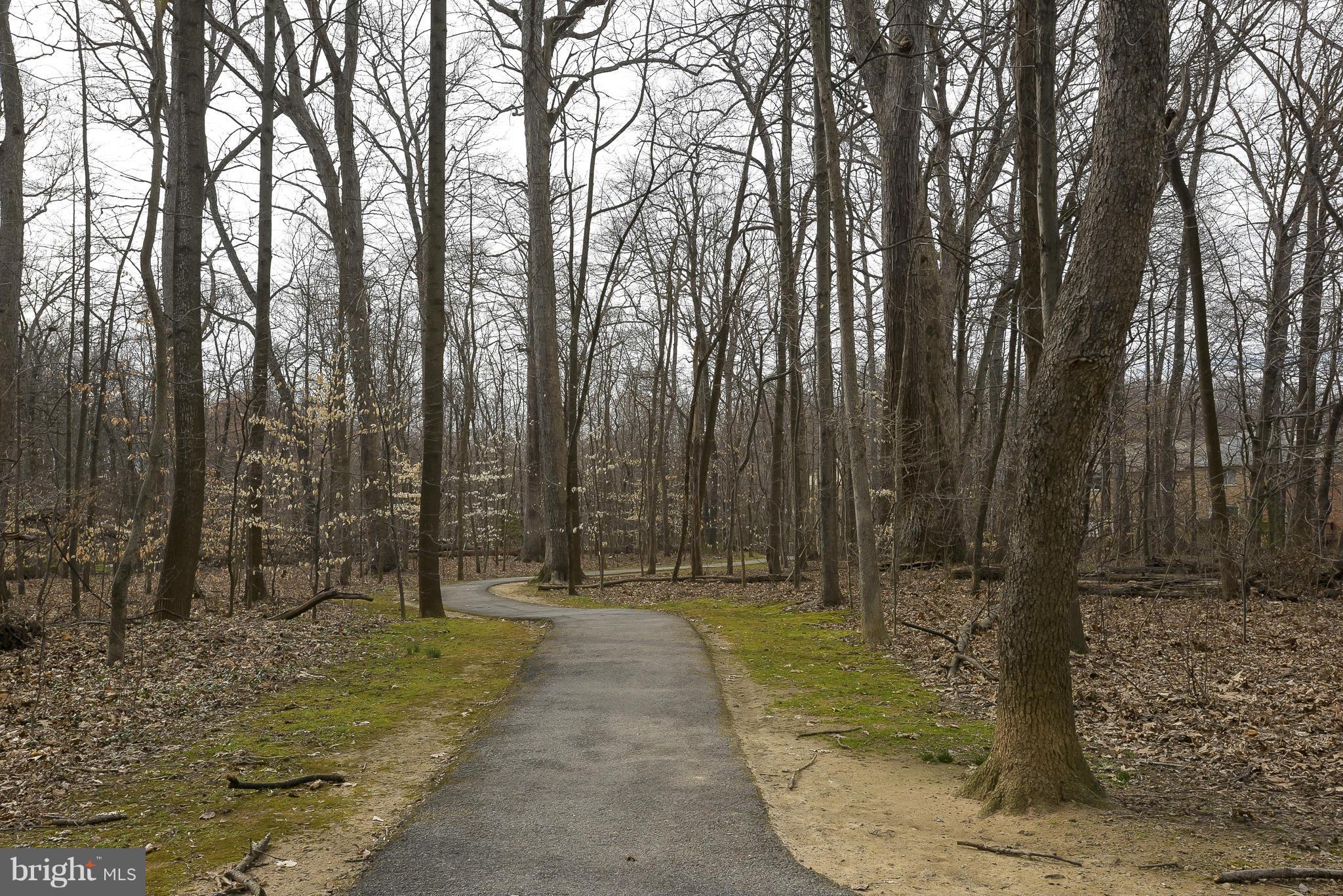 10522 East Wind Way Columbia, MD 21044 - Photo 26 of 26 View