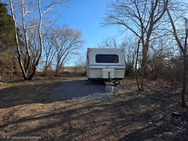 Lot 103 Cherokee Road Goreville, IL 62939 - Photo 2 of 9