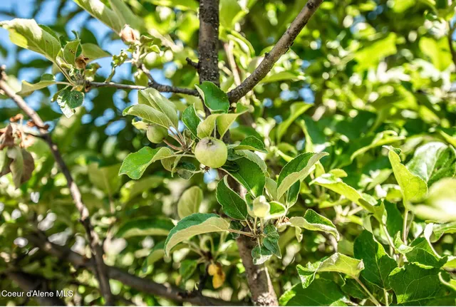 $900,000 | 2585 Clagstone Road, Spirit Lake, ID 83869