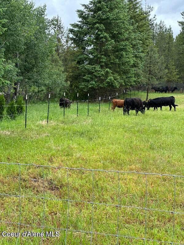 2585 Clagstone Road Spirit Lake, ID 83869 - Photo 5 of 58 IMG_0024