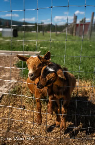 $900,000 | 2585 Clagstone Road, Spirit Lake, ID 83869