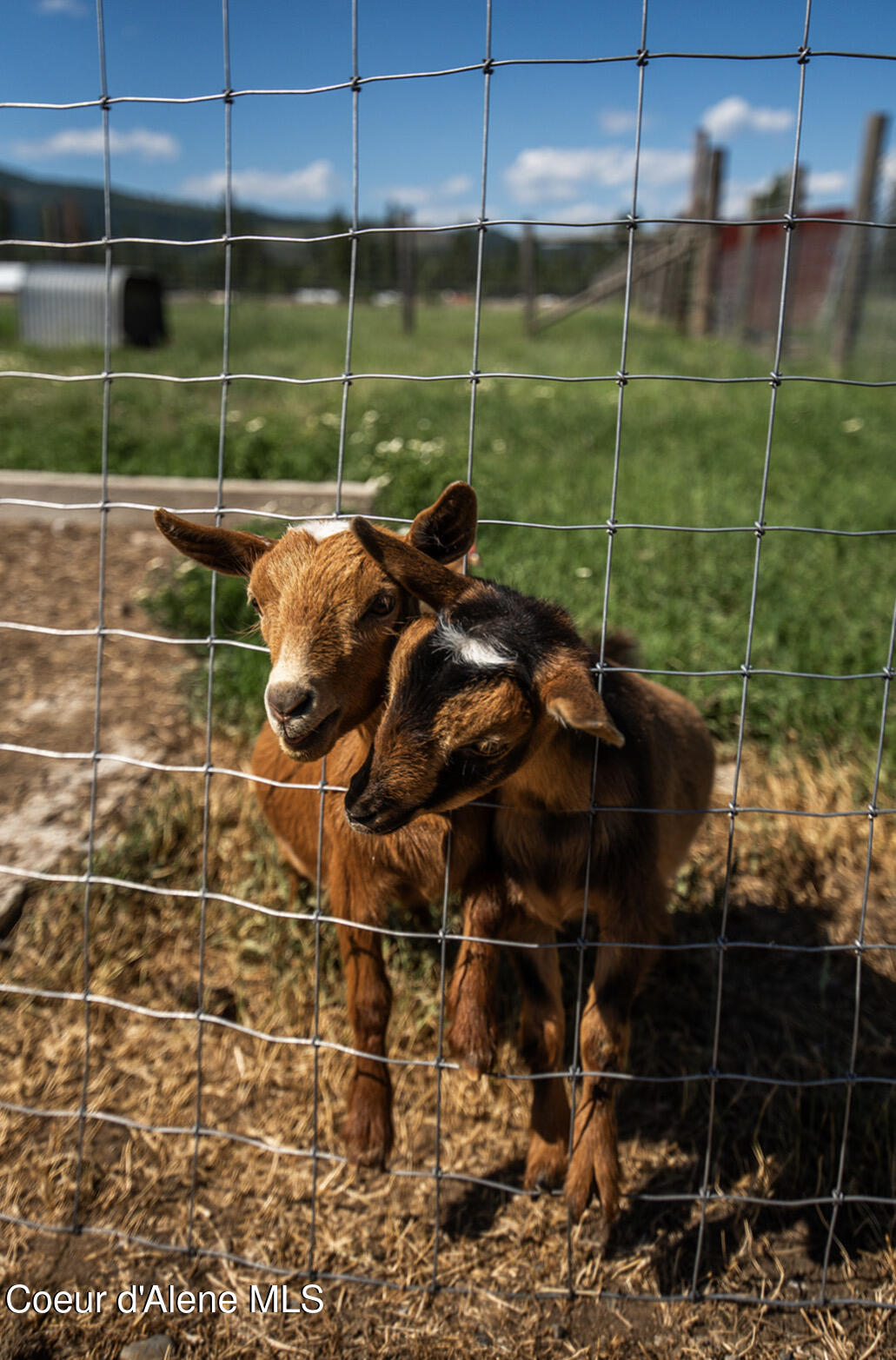 2585 Clagstone Road Spirit Lake, ID 83869 - Photo 53 of 58 IMG_4050