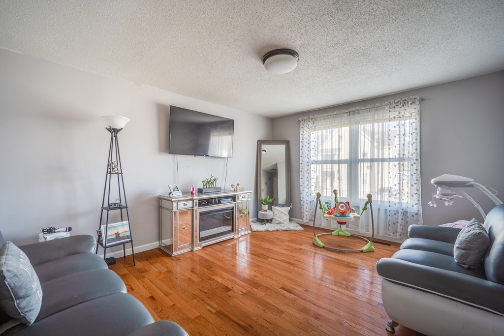 170 Walnut Street Springfield, MA 01105 - Photo 6 of 17 a living room with furniture and a flat screen tv