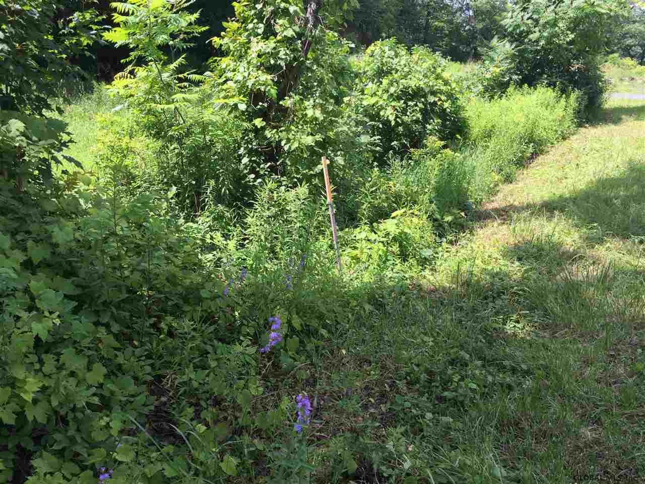 Orchard Hill Road Delmar, NY 12054 - Photo 8 of 10 Photo 8
