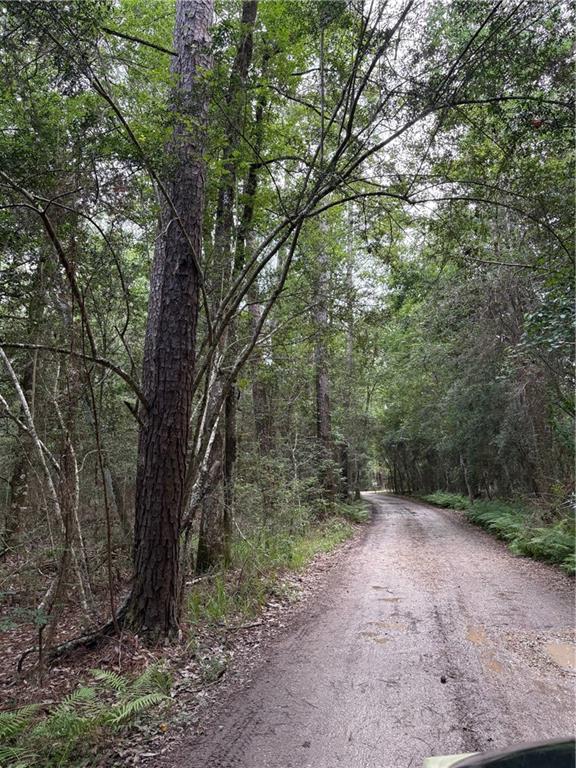 0 Holly Lane Covington, LA 70433 - Photo 2 of 4