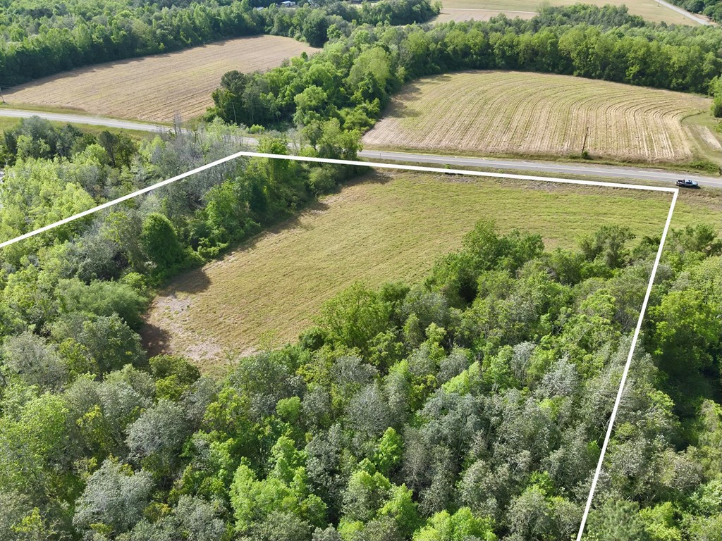 14.57-acres Red Oak Road Florala, AL 36442 - Photo 14 of 14