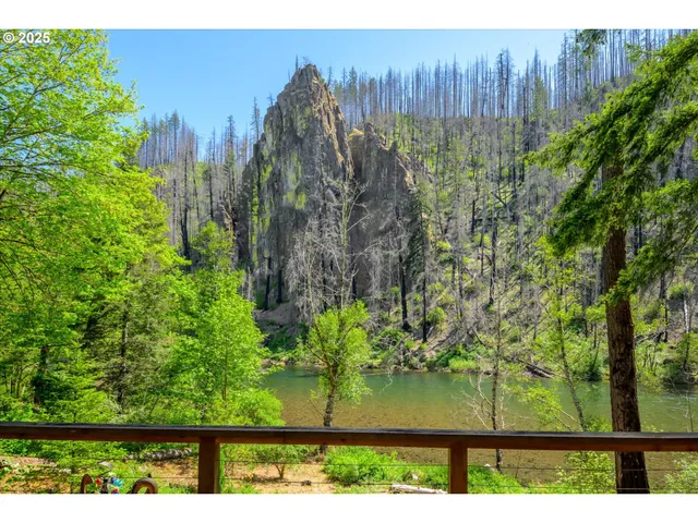 a view of a garden with an outdoor space