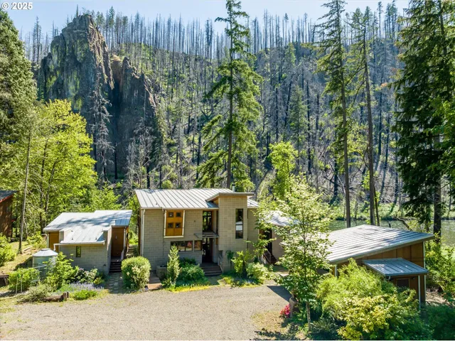 a view of a garden with large trees