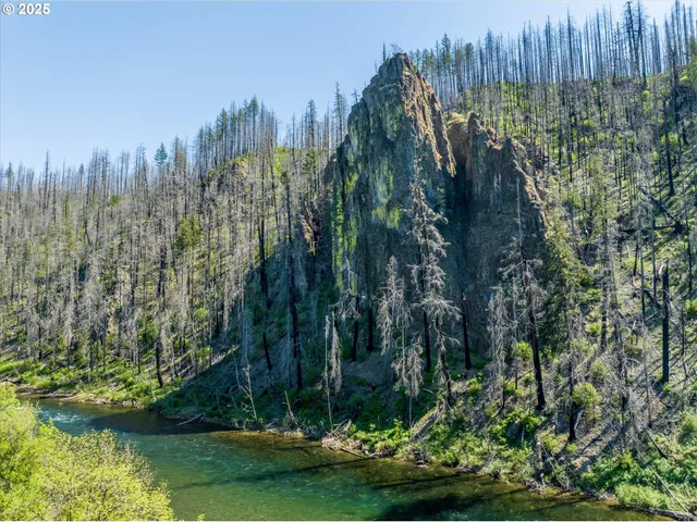 a view of a garden with a building in the background