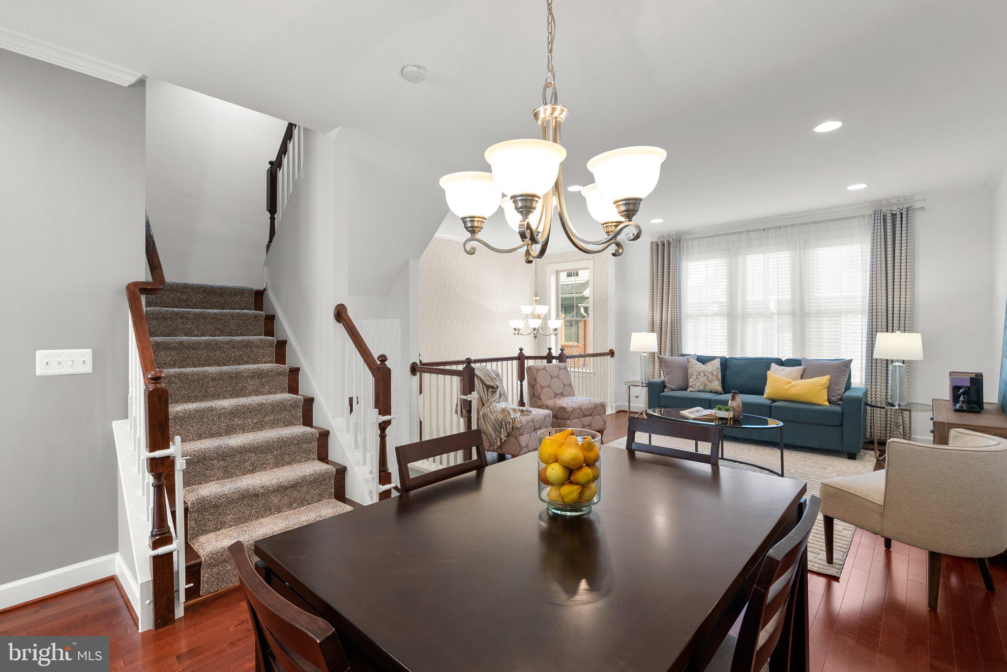 3315 Kemper Road Arlington, VA 22206 - Photo 14 of 52 Light and bright, great space for entertaining!