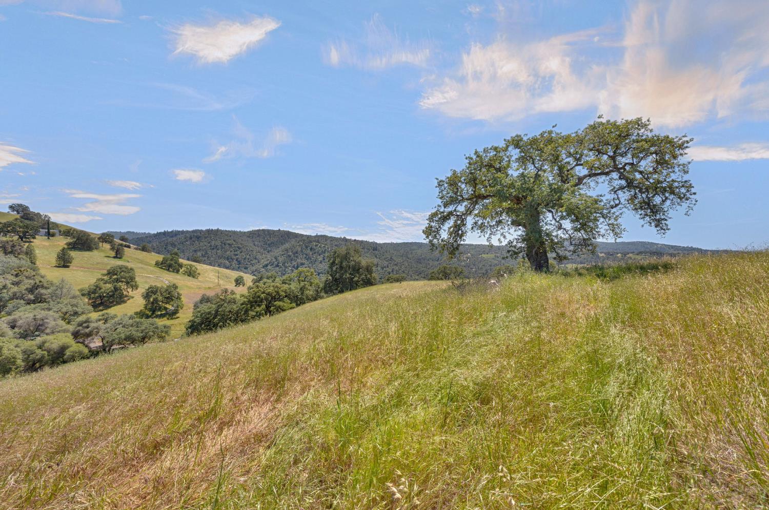 0 Bayne Road Garden Valley, CA 95633 - Photo 21 of 67 Gallery Image 21