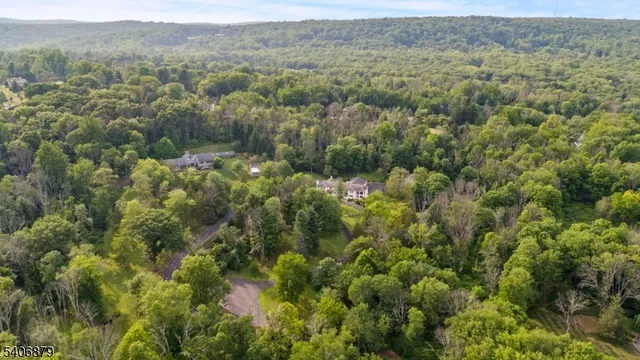 a view of a forest with a street