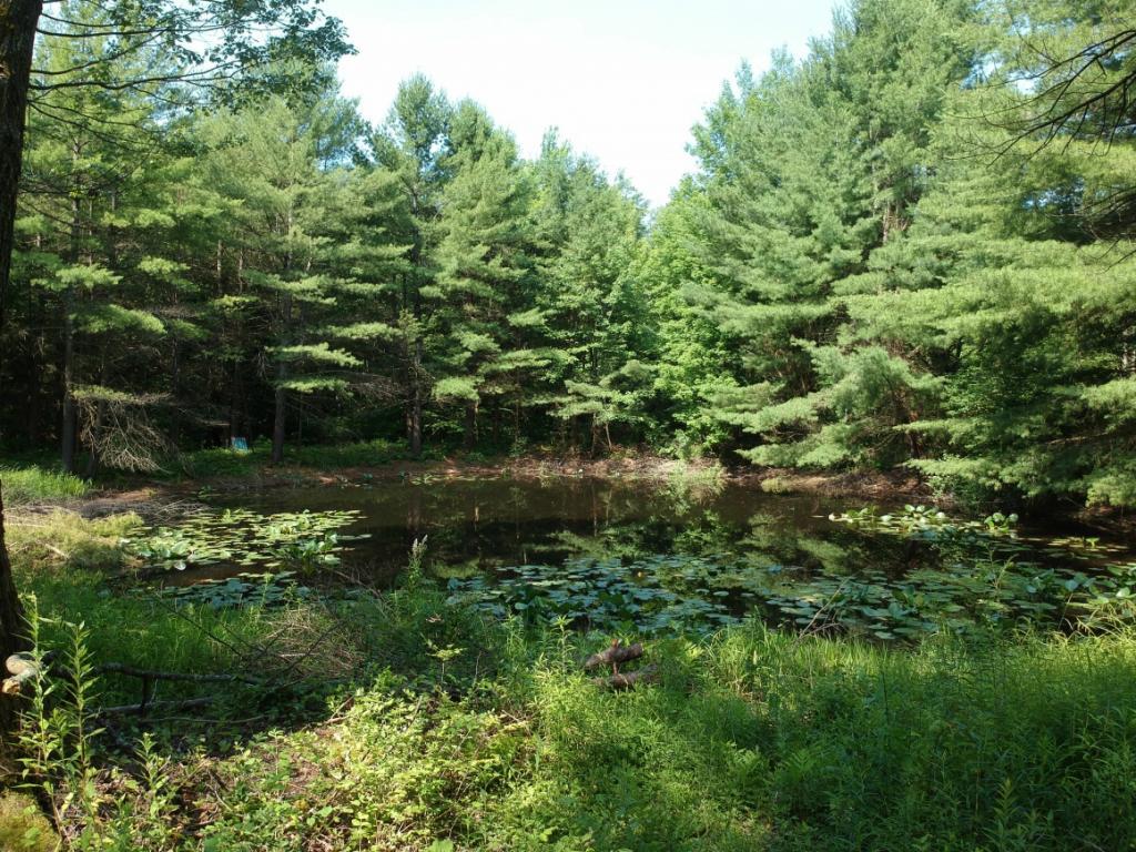 651 Mt Hunger Road Lisle, NY 13797 - Photo 16 of 17 Gallery Image 16