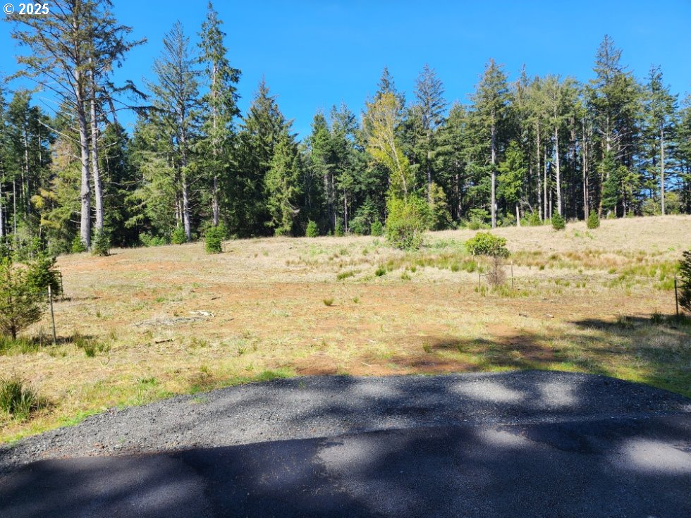 Hubbard Lane, Unit 2 Port Orford, OR 97465 - Photo 1 of 7 a view of a ocean beach