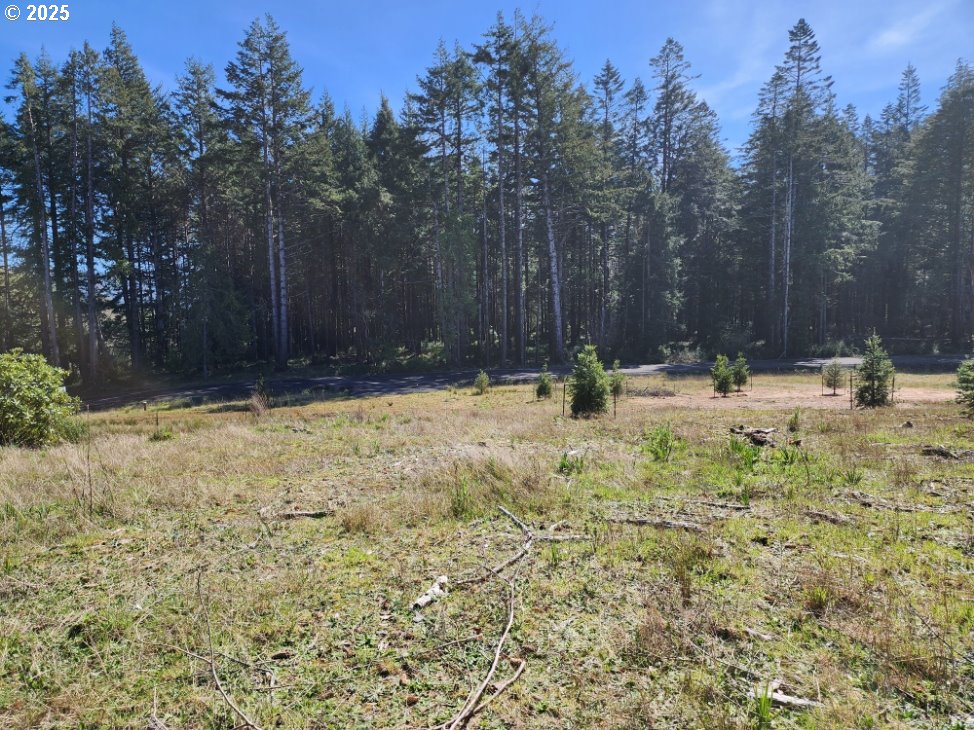 Hubbard Lane, Unit 2 Port Orford, OR 97465 - Photo 2 of 7 a view of outdoor space with trees