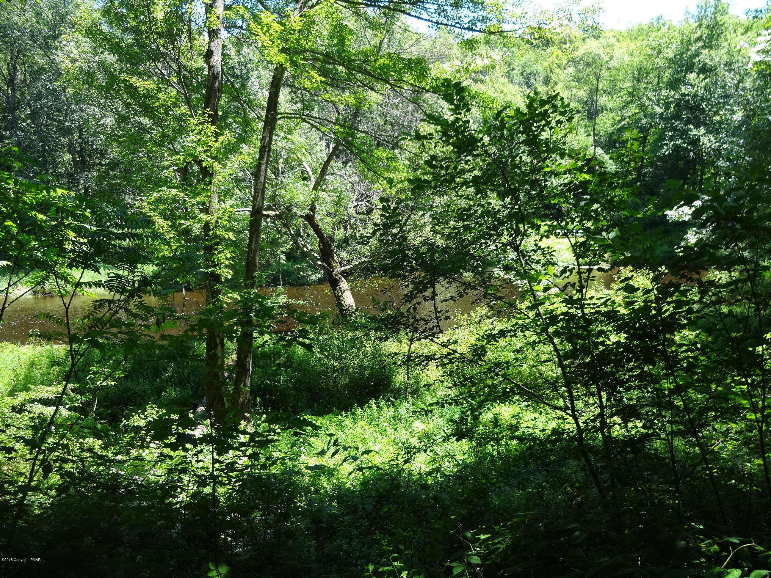Locust Ridge Road Thornhurst, PA 18424 - Photo 3 of 6 DSC07139