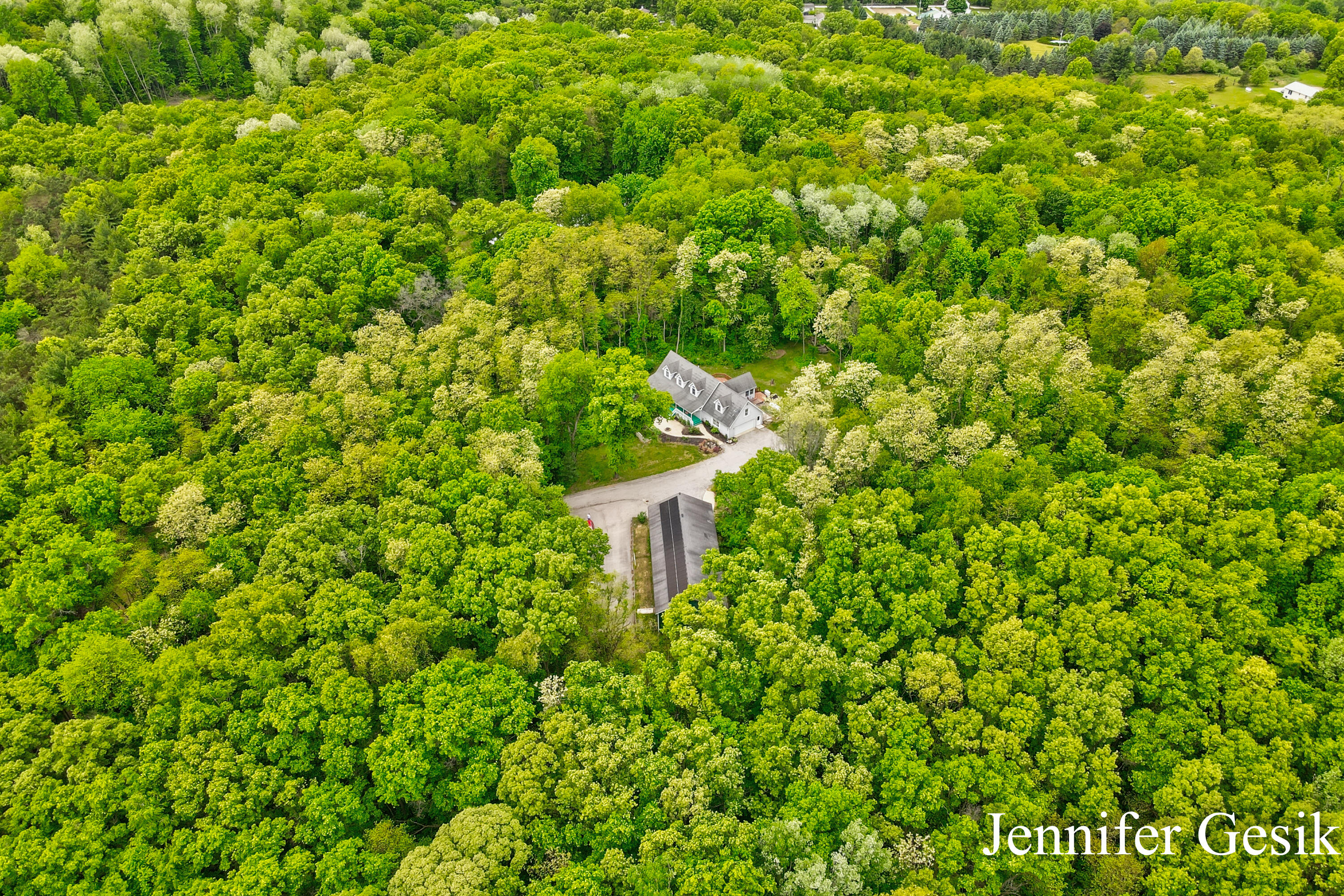 8978 Ingalls Road Belding, MI 48809 - Photo 46 of 51 Jennifer Gesik - 8978 Ingalls Road (59)-