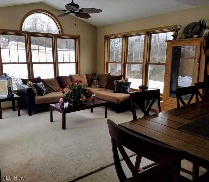 2890 Rising Sun Ridge Road Walker, WV 26180 - Photo 8 of 12