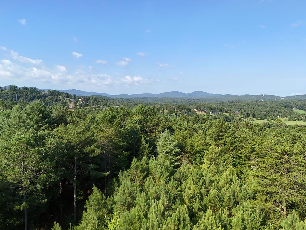 278 Ridge Pointe Way Blairsville, GA 30512 - Photo 19 of 54 Gallery Image 19
