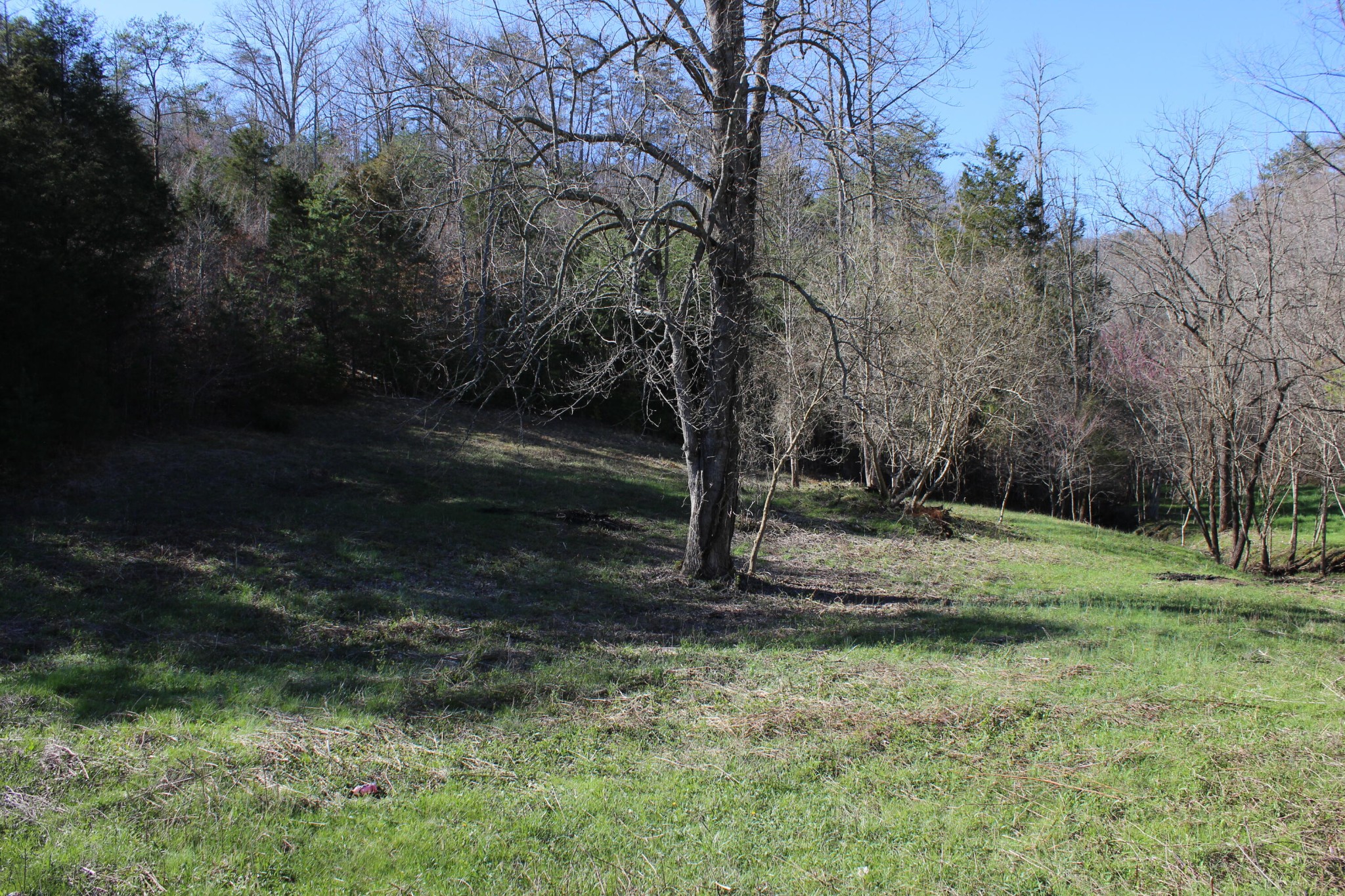 0 Black Fox Road Washburn, TN 37888 - Photo 13 of 25 Gallery Image 13