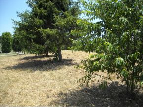 Lot 7 Links Mill Road, Unit 7 Greeneville, TN 37743 - Photo 3 of 6 Photo 4