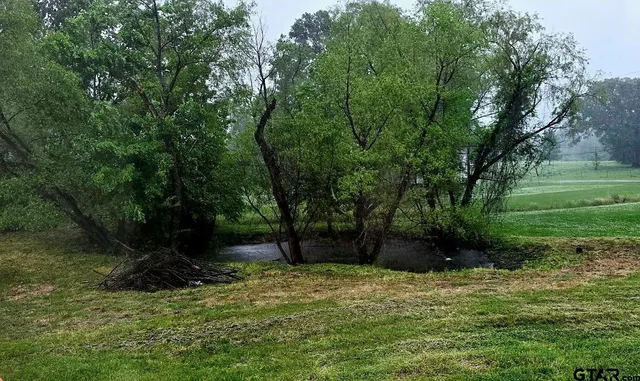 a backyard of a house with lots of green space