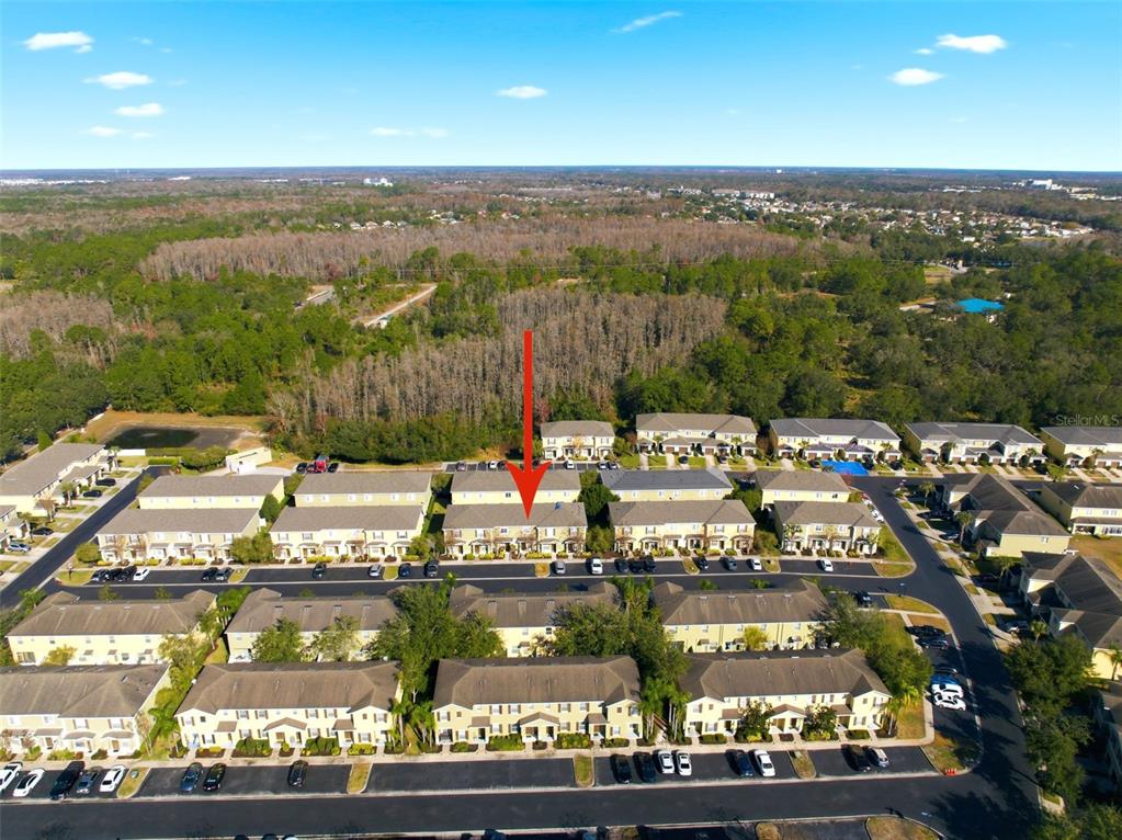 8532 Brushleaf Way Tampa, FL 33647 - Photo 2 of 48