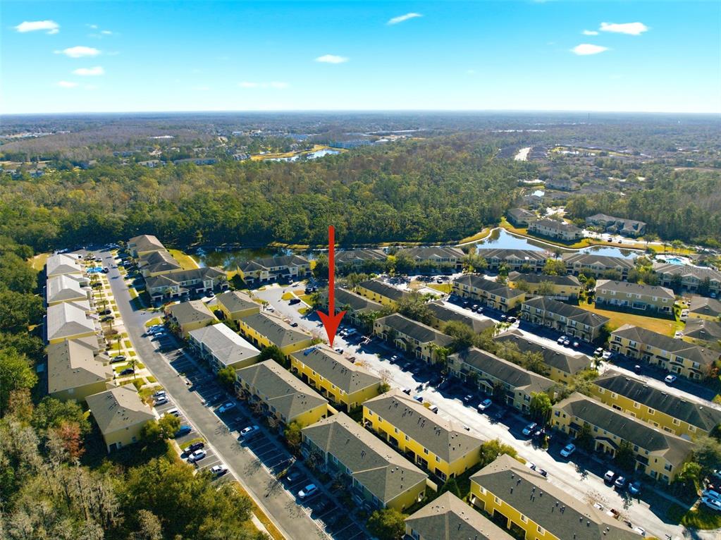 8532 Brushleaf Way Tampa, FL 33647 - Photo 3 of 48