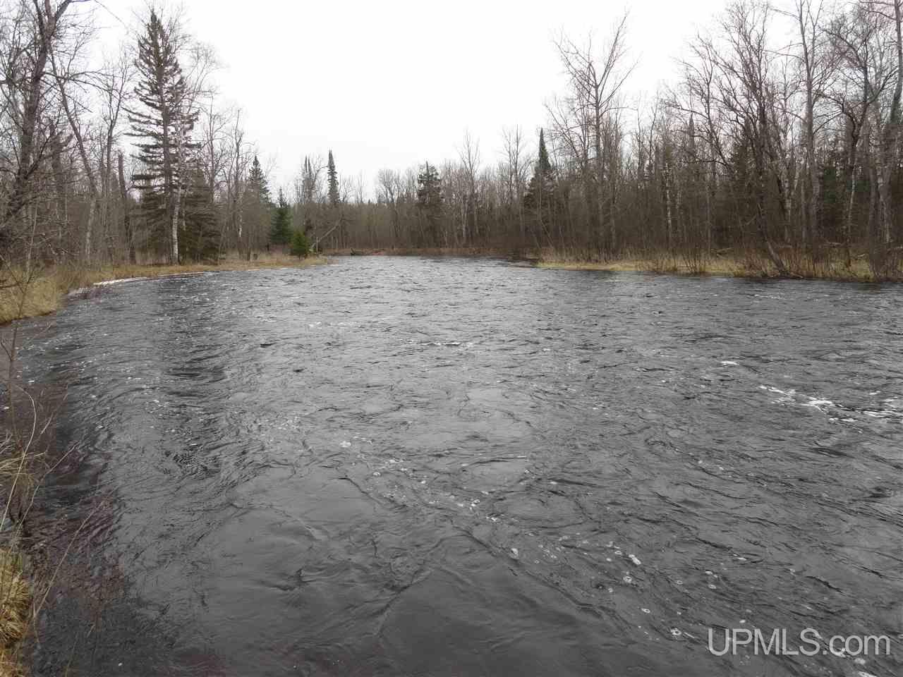 44-acres Ford River Road Arnold, MI 49831 - Photo 2 of 36