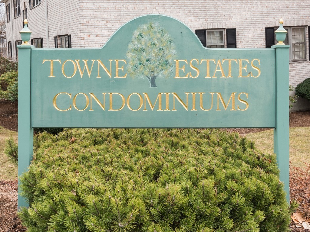 210 Lake Shore Road, Unit 2 Boston, MA 02135 - Photo 16 of 16 Gallery Image 16