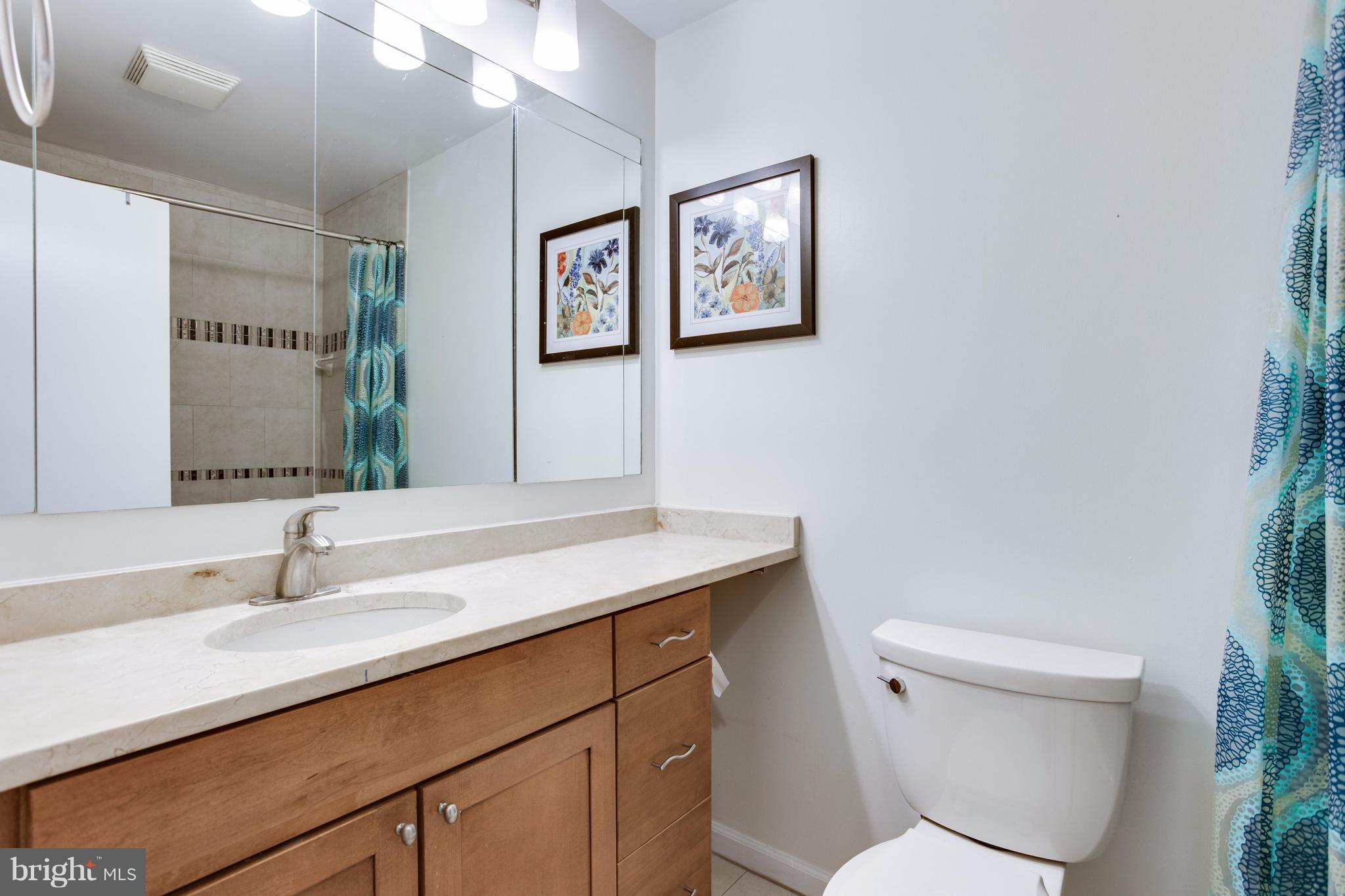 318 Hannes Street Silver Spring, MD 20901 - Photo 23 of 28 Bath