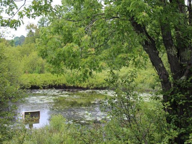 Lot Adams Adams Road Eagle River, WI 54521 - Photo 6 of 8 Gallery Image 6