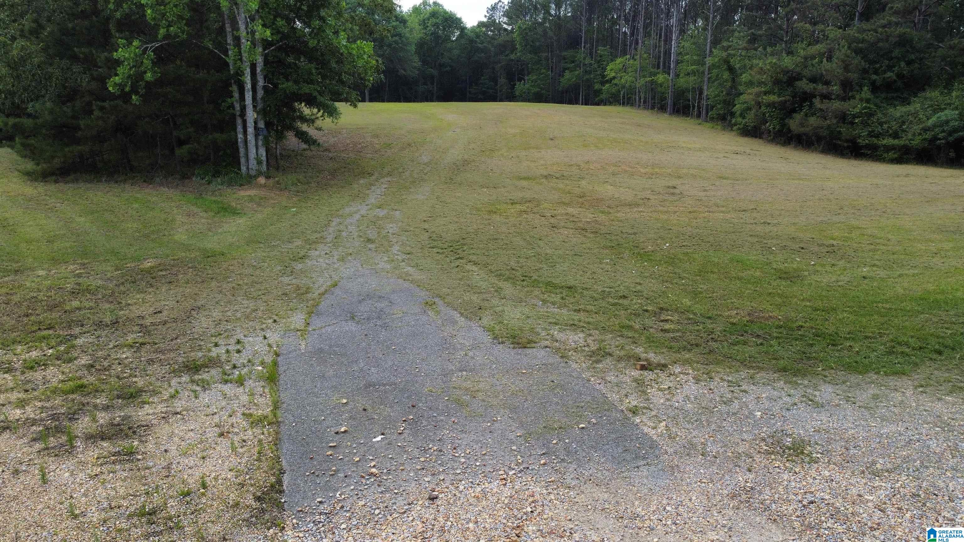 22909 Highway 195 Double Springs, AL 35553 - Photo 6 of 19