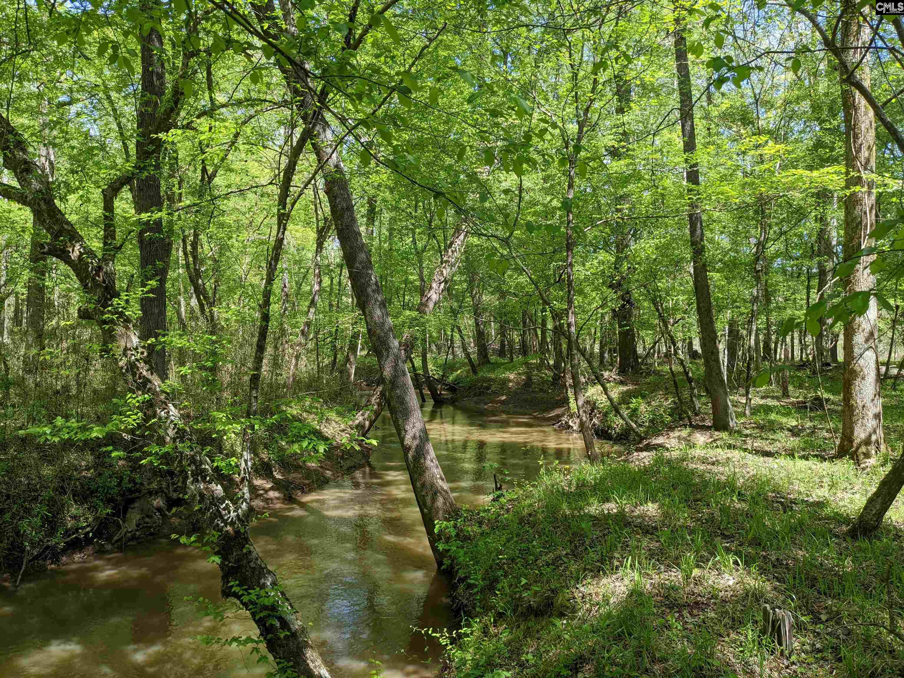 Old Hillcrest School Road Winnsboro, SC 29180 - Photo 13 of 95
