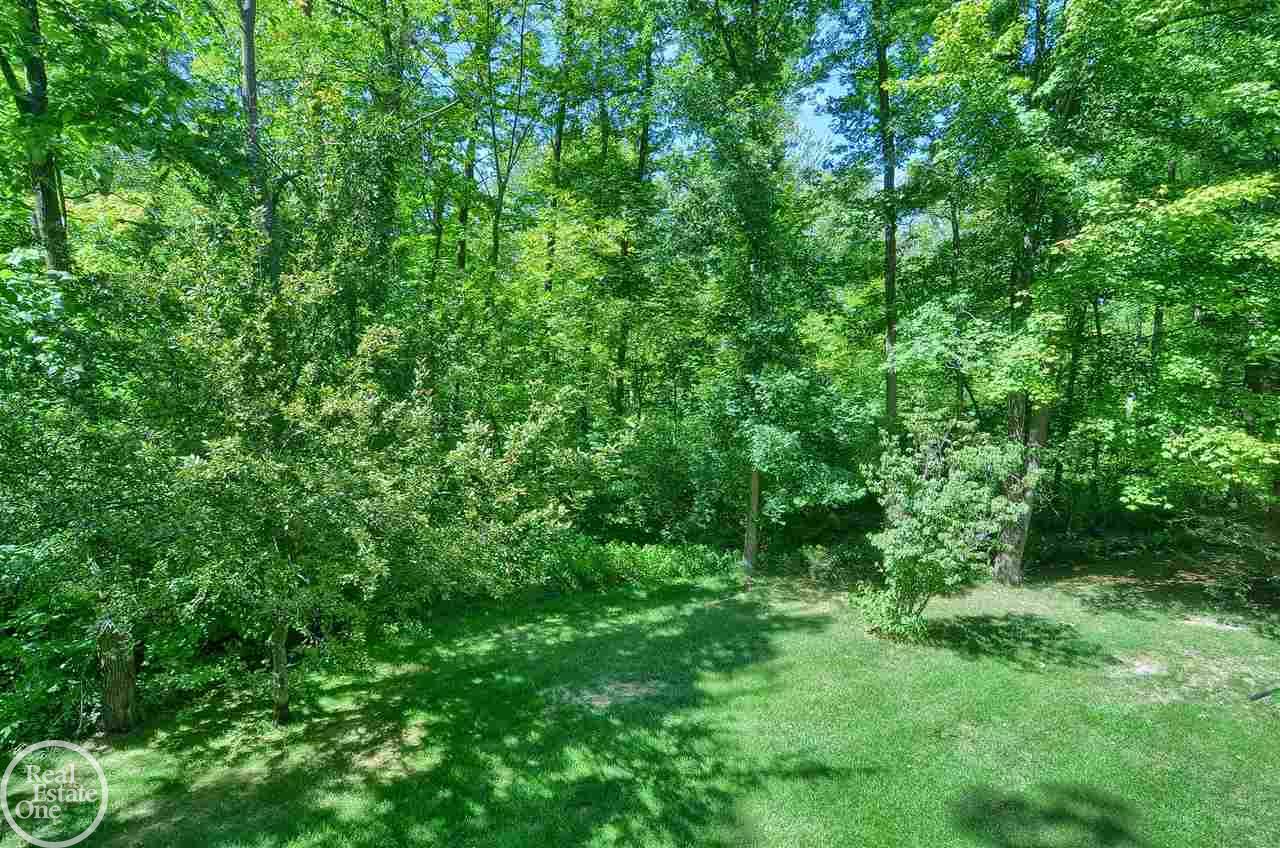 4600 Lake George Road Leonard, MI 48367 - Photo 9 of 51 50007102-8.JPG