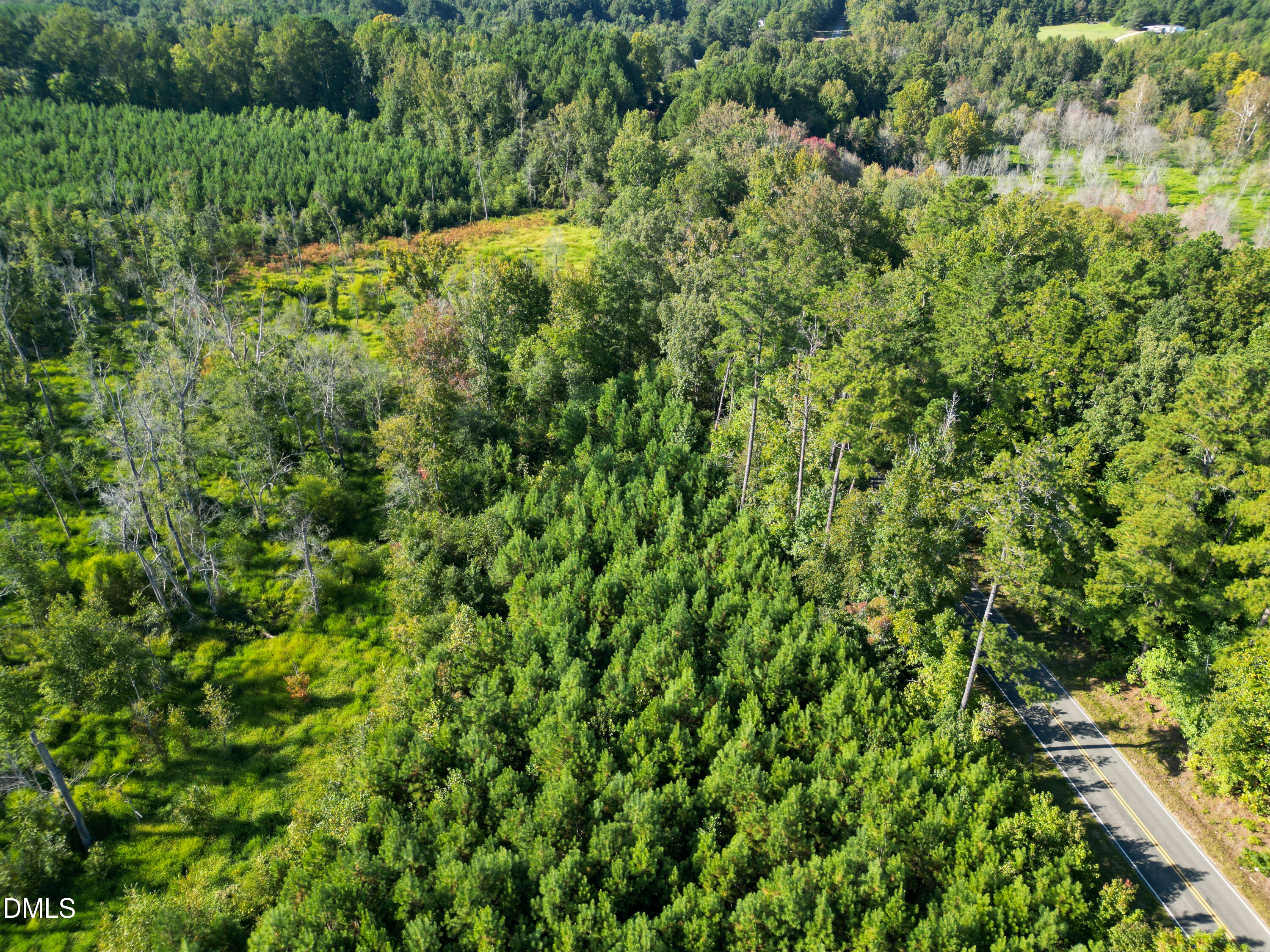 1 Weldons Mill Road Henderson, NC 27537 - Photo 7 of 10 a view of a lush green forest with large trees and plants