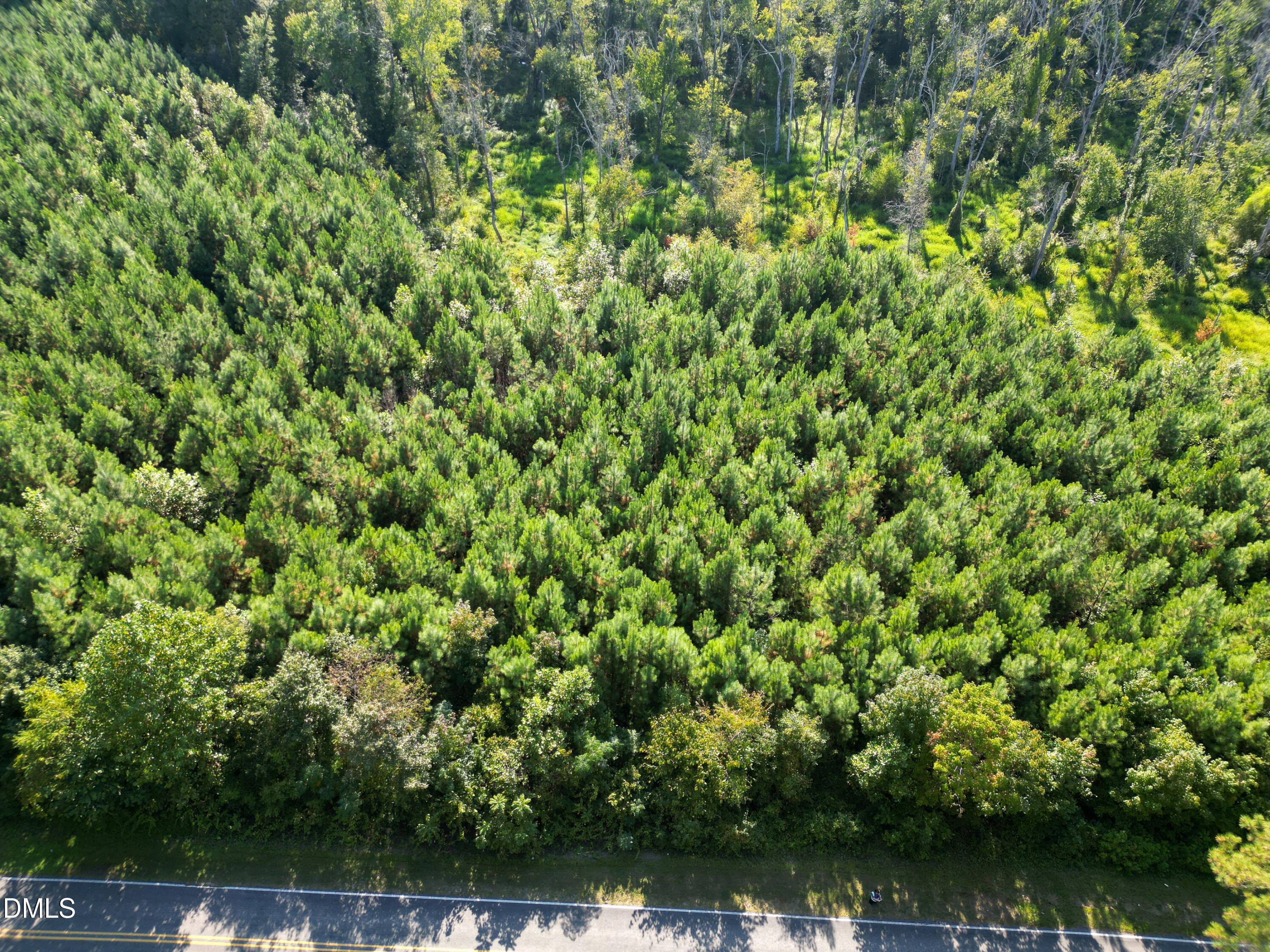 1 Weldons Mill Road Henderson, NC 27537 - Photo 9 of 10 a view of a large yard with plants and large trees