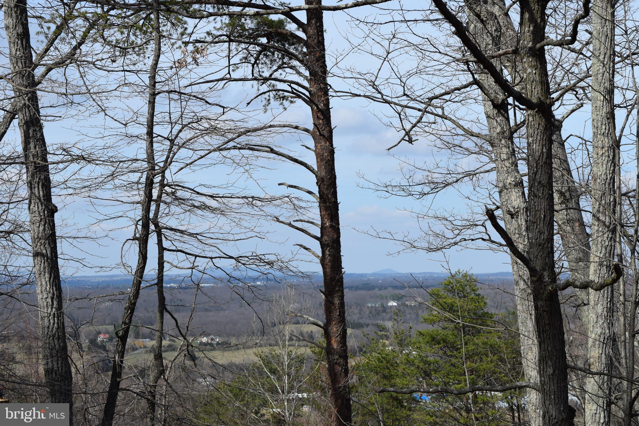Lower View Road Strasburg, VA 22657 - Photo 2 of 19