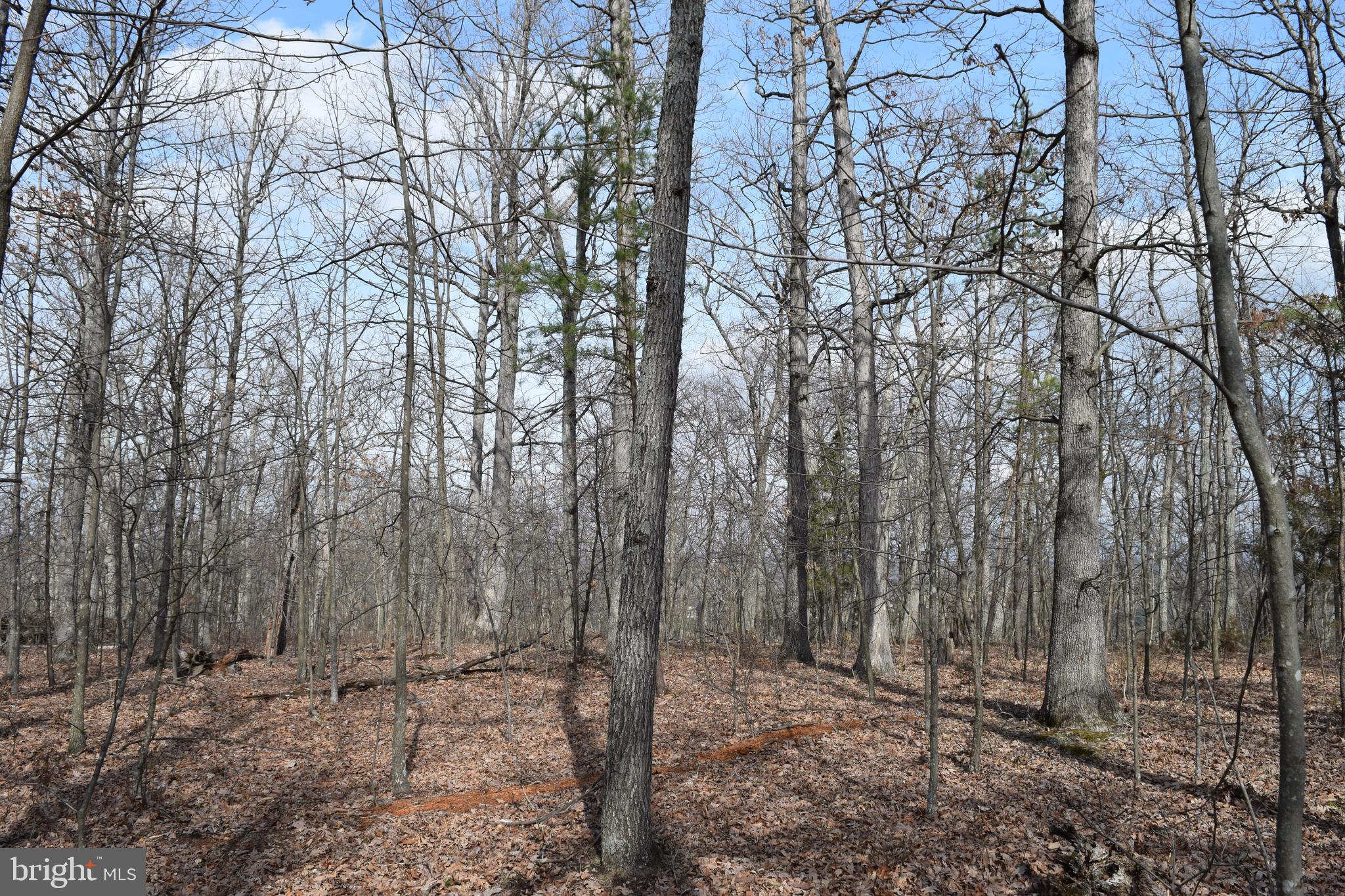 Lower View Road Strasburg, VA 22657 - Photo 11 of 19