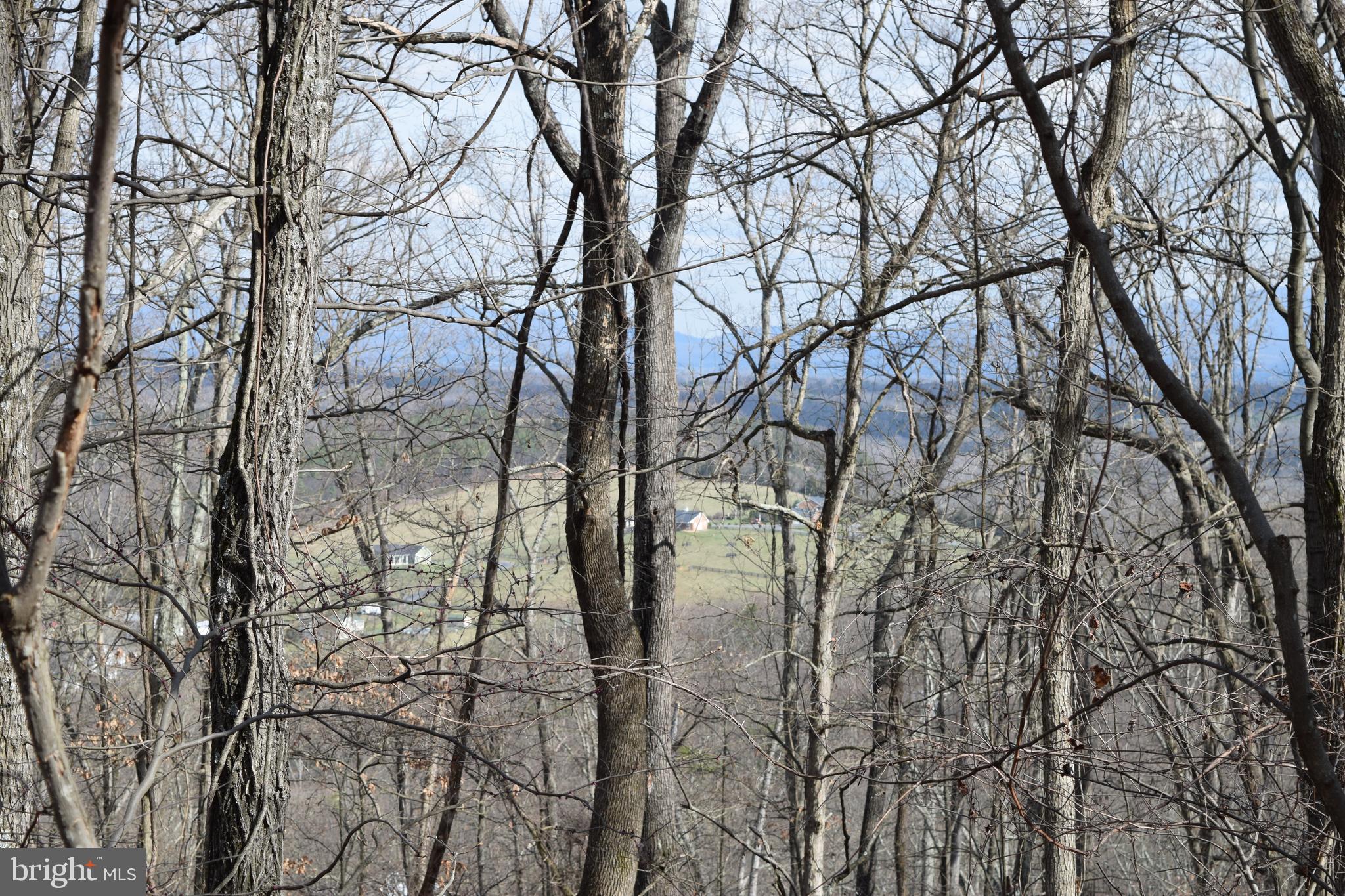 Lower View Road Strasburg, VA 22657 - Photo 12 of 19