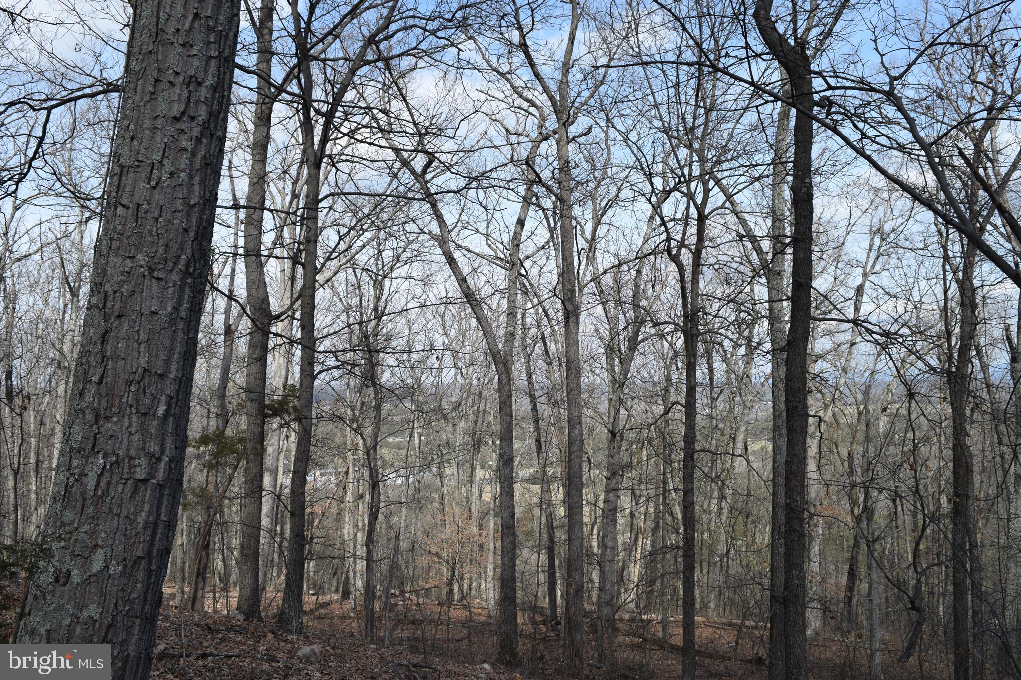 Lower View Road Strasburg, VA 22657 - Photo 14 of 19