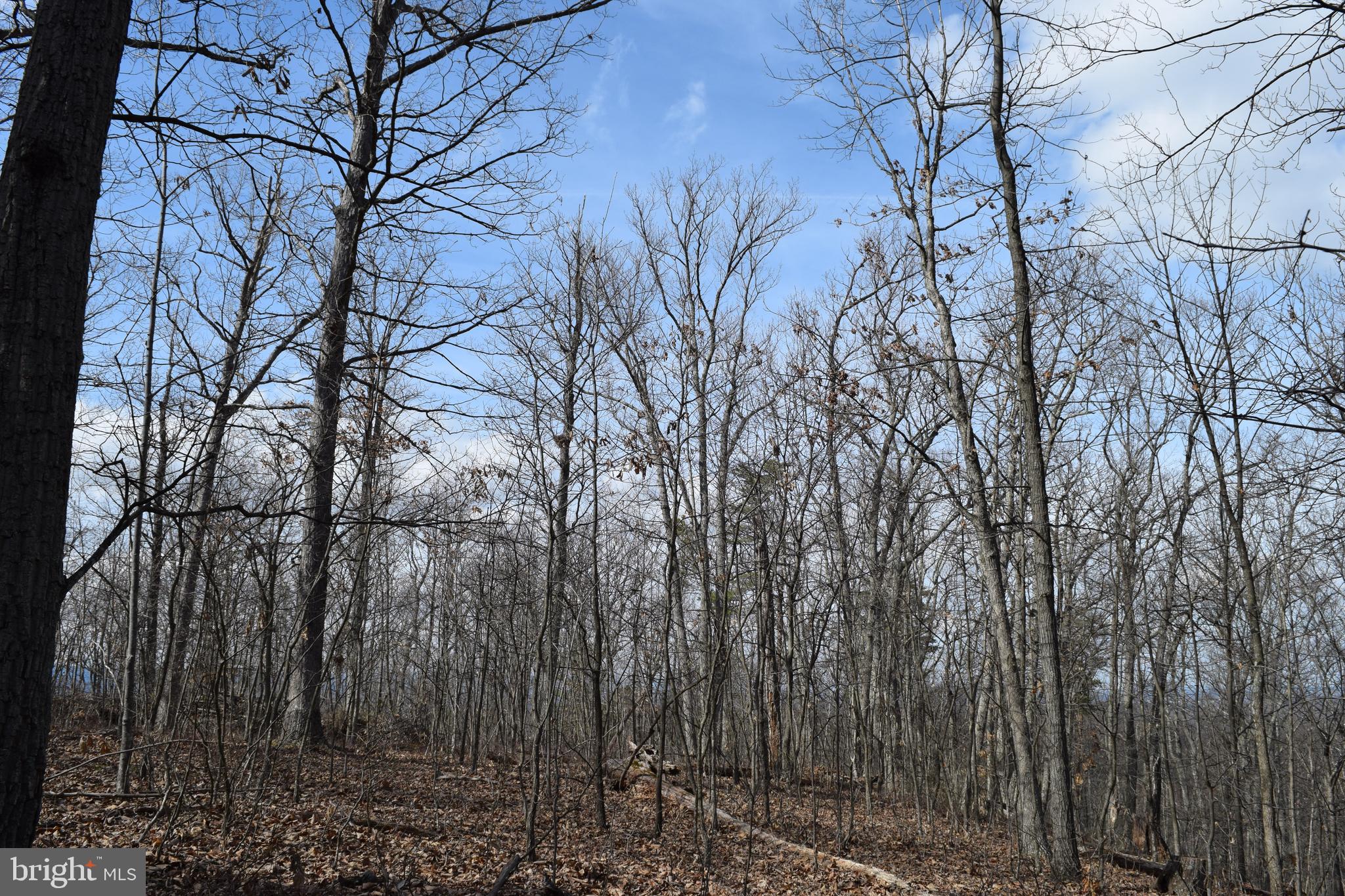 Lower View Road Strasburg, VA 22657 - Photo 15 of 19